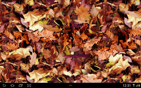 اسکرین شات برنامه Autumn leaves 3D LWP 7