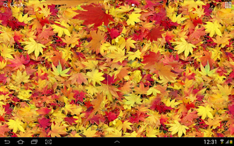 اسکرین شات برنامه Autumn leaves 3D LWP 8