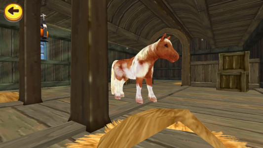 اسکرین شات بازی Horse Quest 8