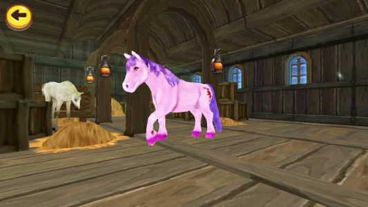 اسکرین شات بازی Horse Quest 4