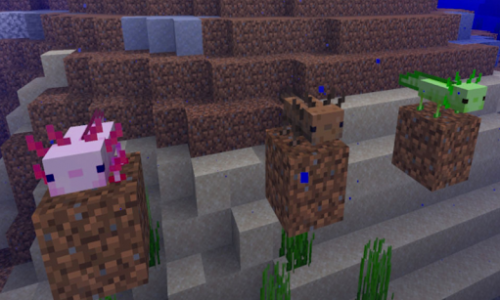 اسکرین شات بازی Axolotls Mod for Minecraft PE 3