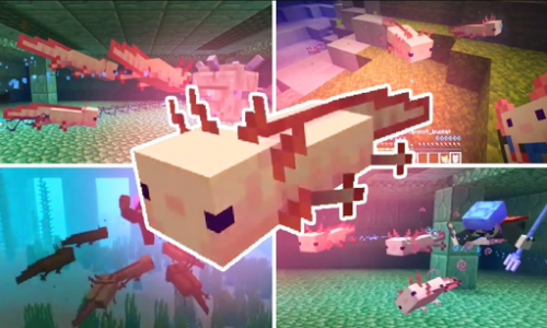 اسکرین شات بازی Axolotls Mod for Minecraft PE 1