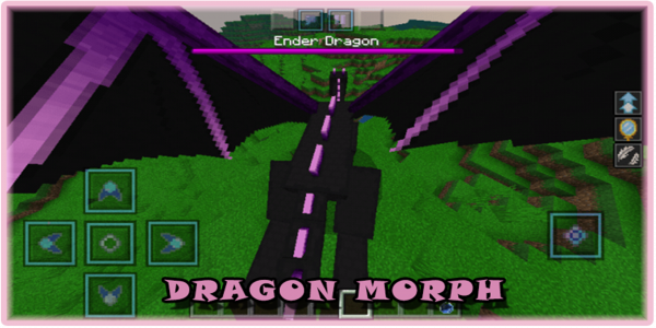 اسکرین شات برنامه Dragon Mod For Minecraft 1