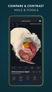 اسکرین شات 5 برنامه Complete Anatomy