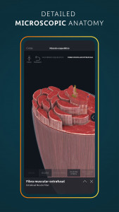 اسکرین شات 8 برنامه Complete Anatomy