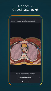اسکرین شات 7 برنامه Complete Anatomy