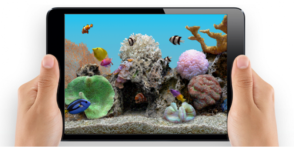اسکرین شات برنامه Marine Aquarium 3.3 3