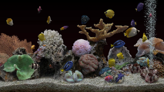 اسکرین شات برنامه Marine Aquarium 3.3 2