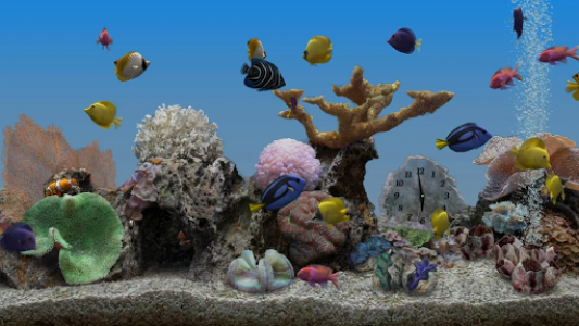 اسکرین شات برنامه Marine Aquarium 3.3 1