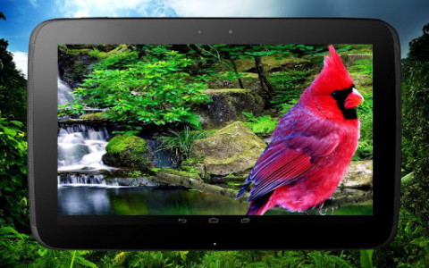 اسکرین شات برنامه 3D birds parallax live wallpaper 8