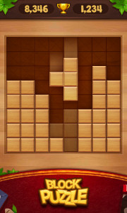 اسکرین شات بازی Wood Block Puzzle 1