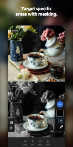 اسکرین شات برنامه لایت روم (Adobe Lightroom - Photo Editor & Pro Camera) 1