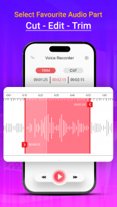 اسکرین شات برنامه Advance Voice Recorder 4