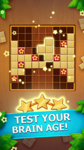 اسکرین شات 6 بازی Wood Block Puzzle