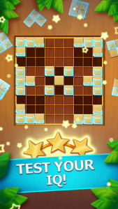 اسکرین شات 2 بازی Wood Block Puzzle