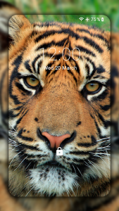 اسکرین شات برنامه Tiger Wallpapers HD (backgrounds & themes) 4