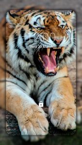 اسکرین شات برنامه Tiger Wallpapers HD (backgrounds & themes) 2