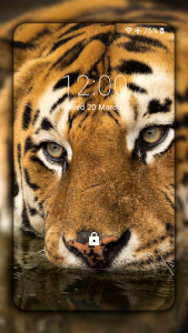 اسکرین شات برنامه Tiger Wallpapers HD (backgrounds & themes) 6