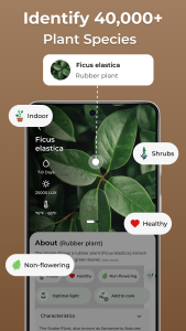 اسکرین شات 2 برنامه Plant Care: Identify Plants