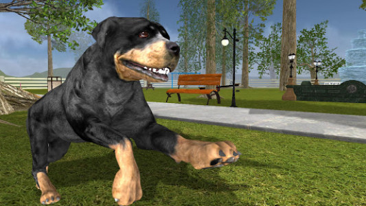 اسکرین شات بازی Rottweiler Dog Life Simulator 5