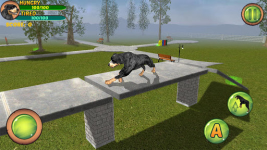 اسکرین شات بازی Rottweiler Dog Life Simulator 3
