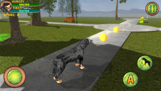 اسکرین شات بازی Rottweiler Dog Life Simulator 7