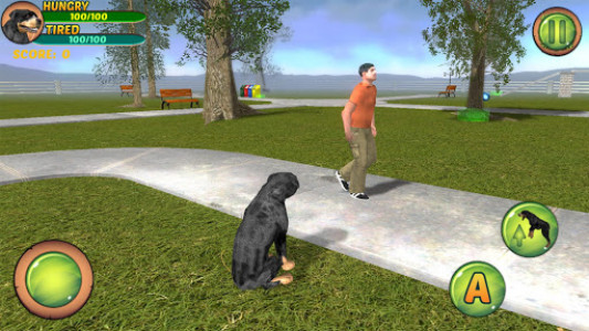 اسکرین شات بازی Rottweiler Dog Life Simulator 1