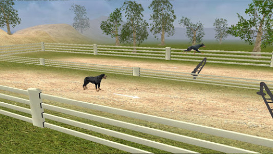 اسکرین شات بازی Rottweiler Dog Life Simulator 4
