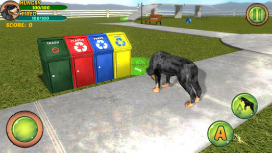 اسکرین شات بازی Rottweiler Dog Life Simulator 6