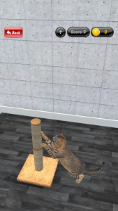 اسکرین شات برنامه My Kitten : Virtual Pet 5