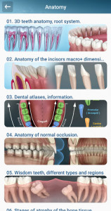 اسکرین شات برنامه Dental 3D Illustrations for patient education 2
