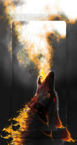 اسکرین شات برنامه Wolf wallpapers : Wolves Wallpapers 1