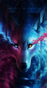 اسکرین شات برنامه Wolf wallpapers : Wolves Wallpapers 7