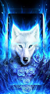 اسکرین شات برنامه Wolf wallpapers : Wolves Wallpapers 5