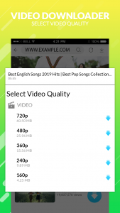 اسکرین شات برنامه mp4 video downloader 2