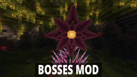 اسکرین شات 4 برنامه Boss Mod for Minecraft