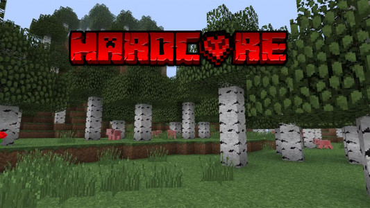 اسکرین شات 2 برنامه Hardcore Mod for Minecraft
