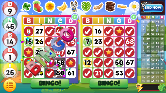 اسکرین شات بازی Bingo Classic - Bingo Games 3