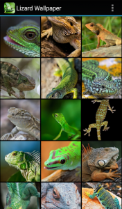 اسکرین شات برنامه Lizard Wallpaper 1