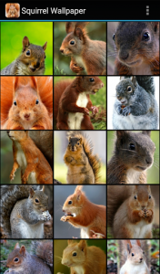 اسکرین شات برنامه Squirrel Wallpaper 2