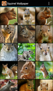 اسکرین شات برنامه Squirrel Wallpaper 1