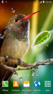 اسکرین شات برنامه Hummingbirds Live Wallpaper 1