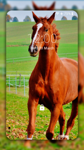 اسکرین شات 3 برنامه Horse Wallpaper HD: Themes