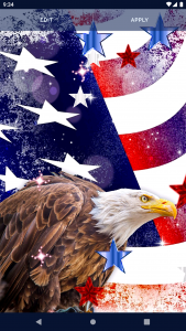 اسکرین شات برنامه American Flag Wallpapers 6