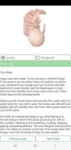 اسکرین شات 6 برنامه Pregnancy Due Date Calculator
