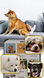 اسکرین شات برنامه Dog Translator: Dog Sound 5