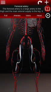 اسکرین شات برنامه Circulatory System 3D Anatomy 4