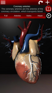 اسکرین شات 5 برنامه Circulatory System 3D Anatomy