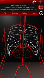 اسکرین شات 3 برنامه Circulatory System 3D Anatomy