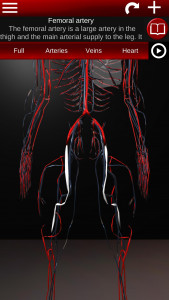 اسکرین شات 4 برنامه Circulatory System 3D Anatomy